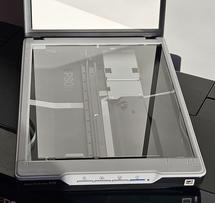 Skaner EPSON Perfection V19