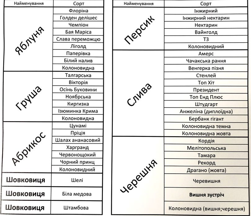 Саджанці плодових дерев