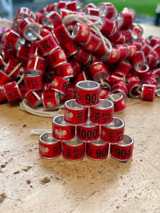 Obrączki dla gołębi pocztowych 8 mm , 9mm i 10 mm