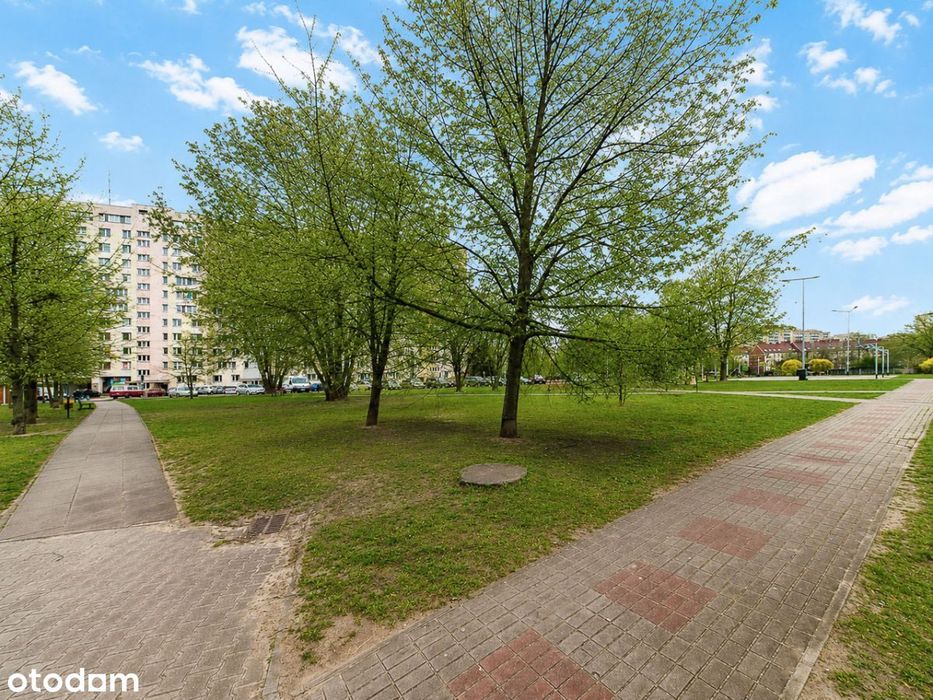 Kawalerka, piękny widok, świetna lokalizacja