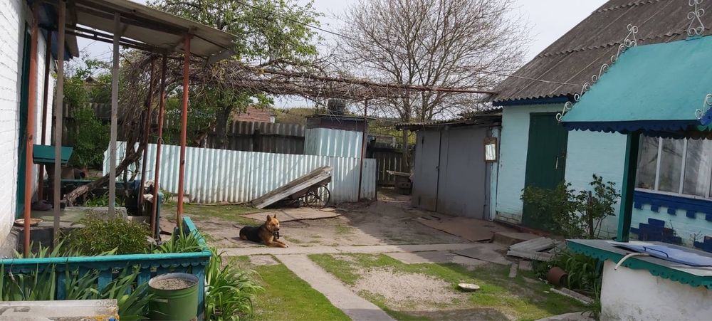 Продам будинок с Вельбівка, Запсільське