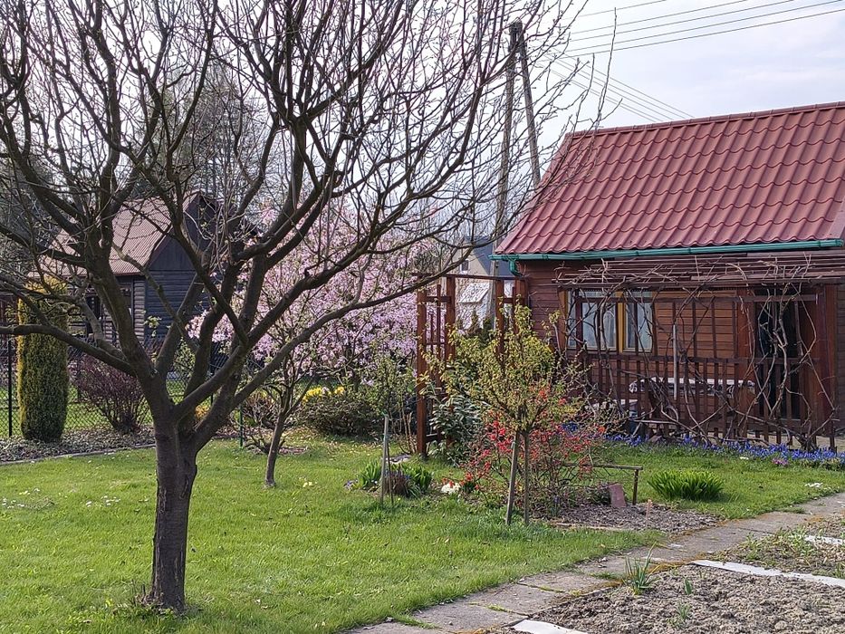 Działka ROD Radość Andrychów
