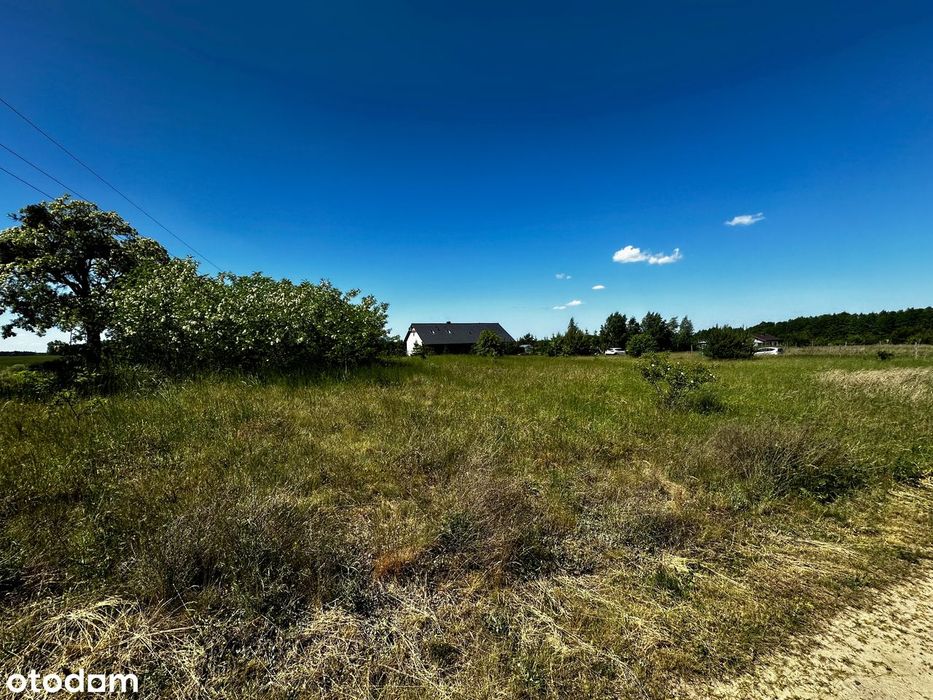 Działka budowlana 3000 m² Skrzydlewo - Widok 2