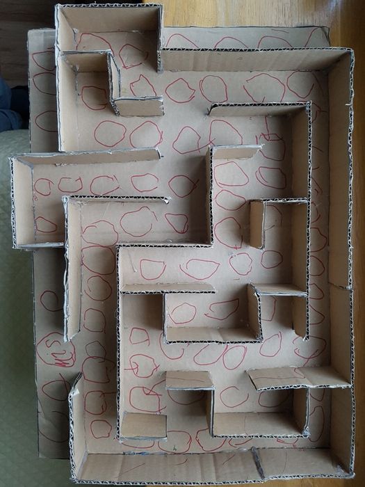 Kartonowy labirynt dla chomika