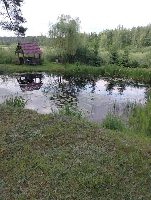 Здається місце в будику