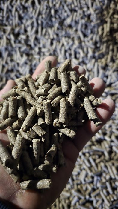 Wysłodki peletowane