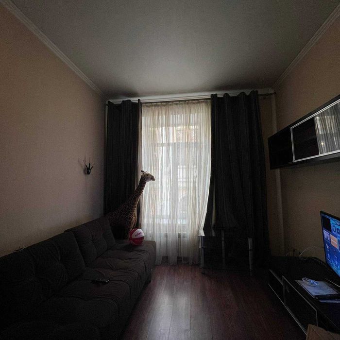 2-ком. квартиры на ул. Чайковского. Центр/Оперный театр. ТОРГ! 1I18