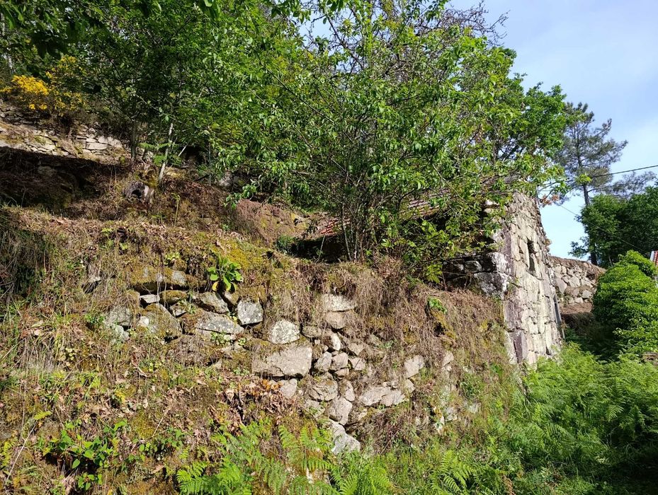 Palheiro em pedra com terreno