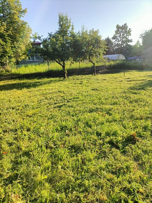 Zdjęcie 6