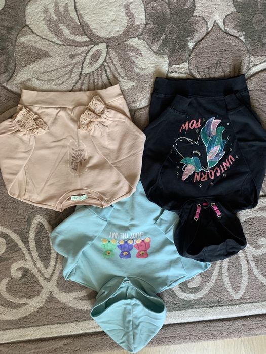 Батнік кофта реглан