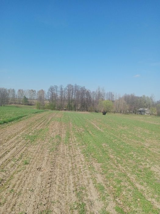 Działki budowlane