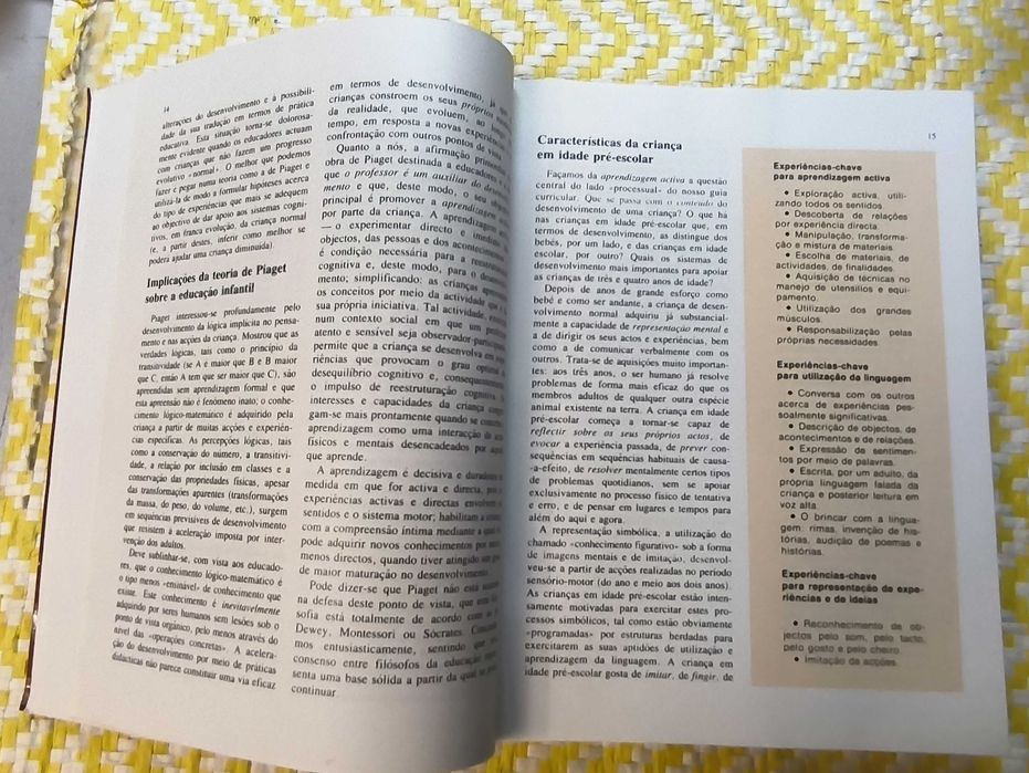 A CRIANÇA EM ACÇÃO – 
Mary Hohmann - Bernard Banet - David F. Weikart