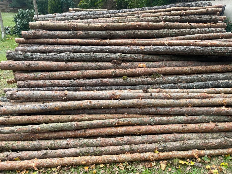 Nowa Świeża seria  Stempli Budowlanych 3m