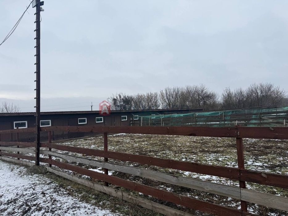 Продажа кінний двір Новоолександрівка комерція