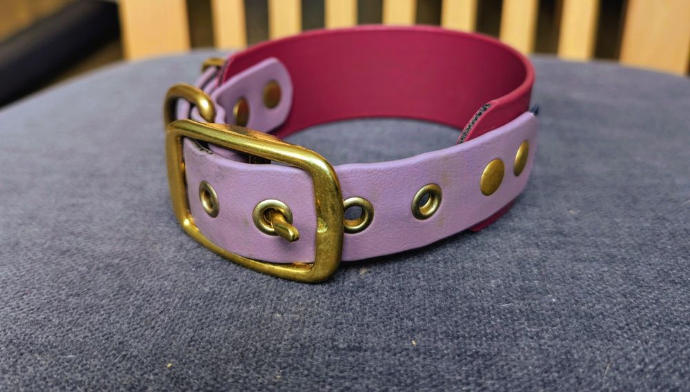 Obroża biothane fiolet bordowy, chart, whippet