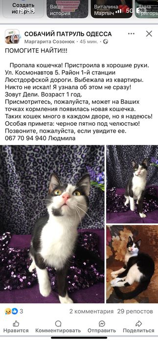 Помогите найти кошку