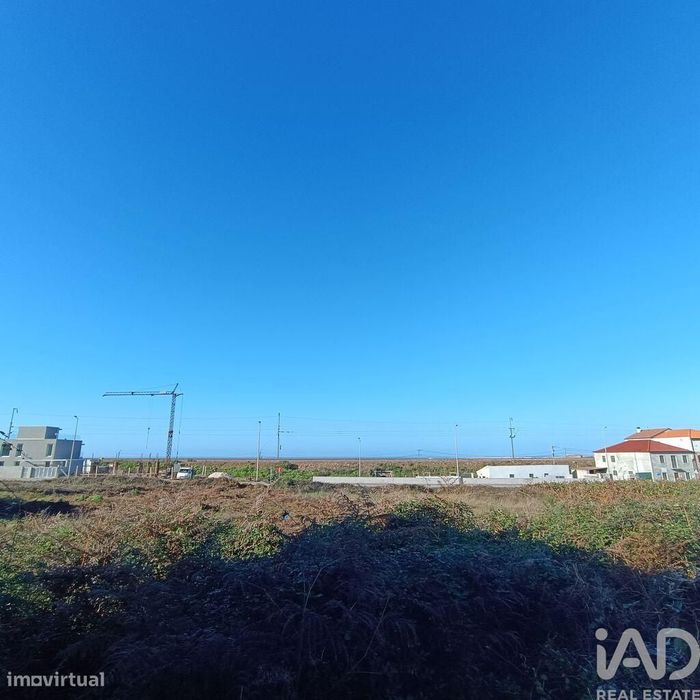 Terreno em Moledo e Cristelo