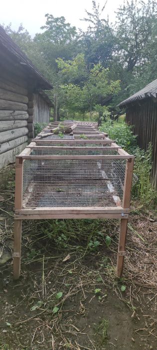 Клітки для кролів