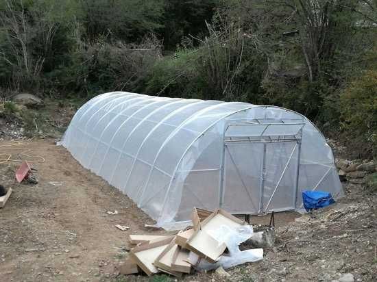 Estufa 6 x 60 m com cobertura 200 μm