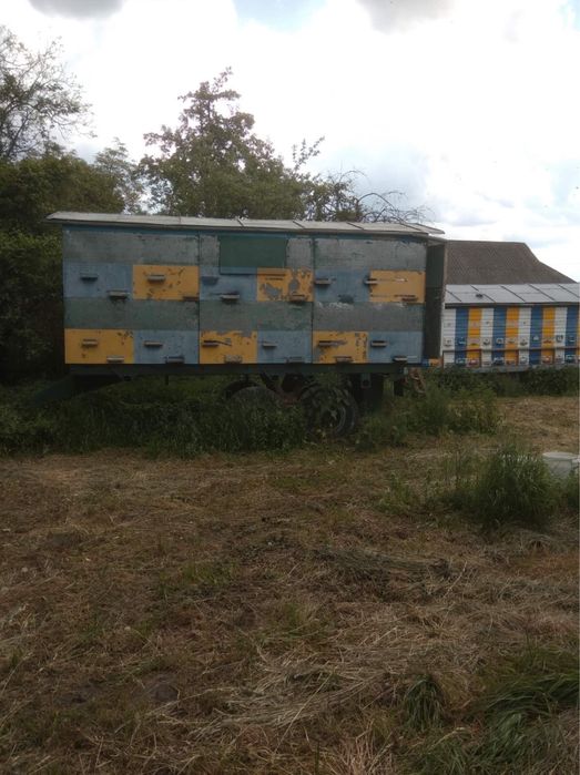 Продам Бджолопавільйон
