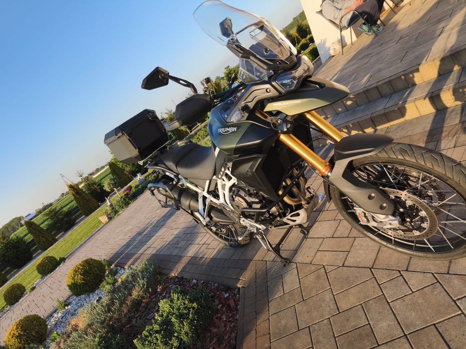 Tiger Triumph 900