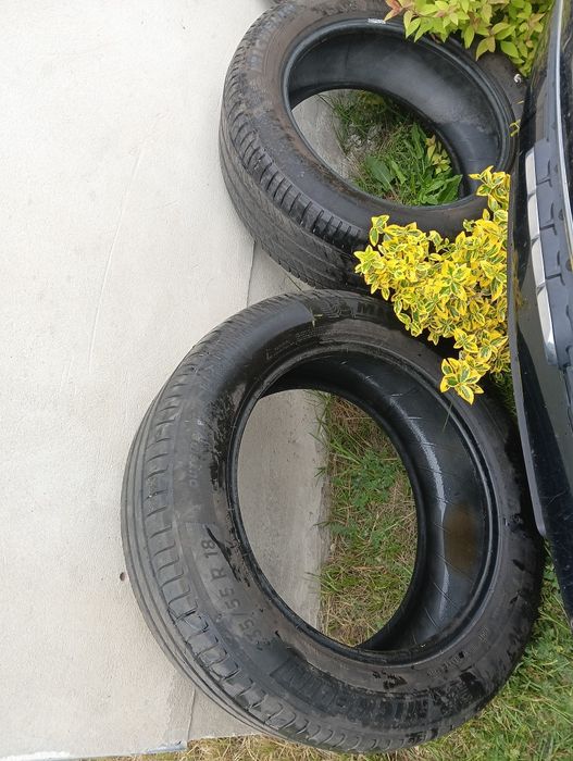 Opony Michelin i opony Firelii