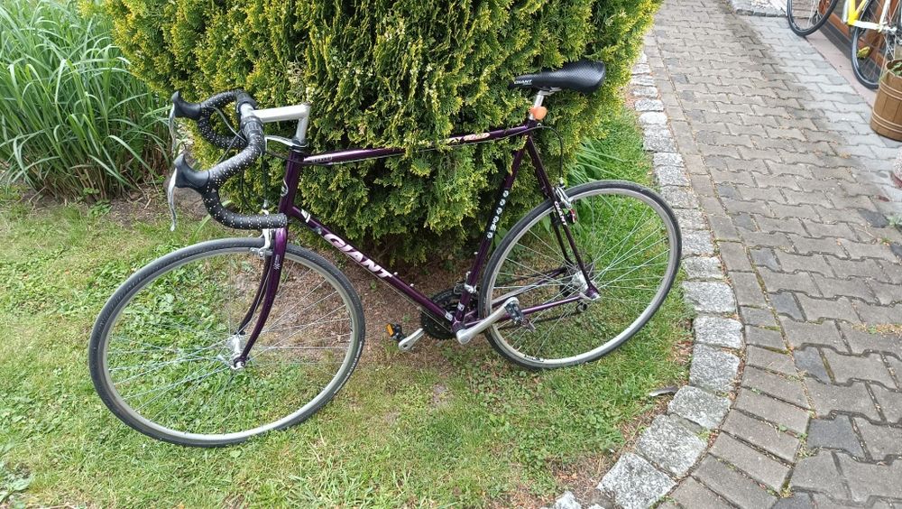 Giant szosa kolarzówka