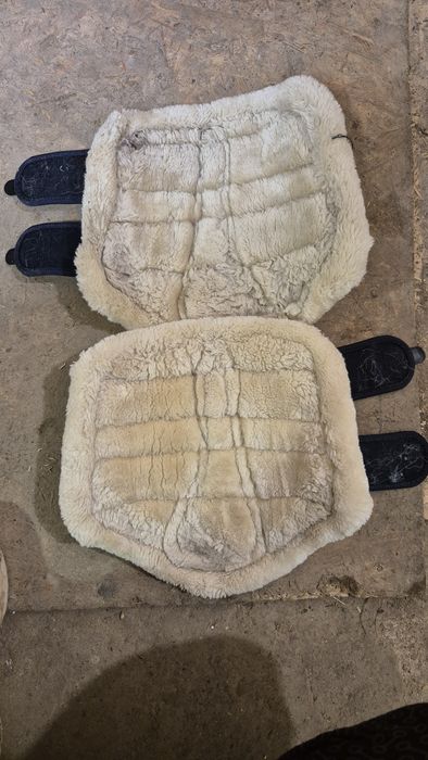 Eskadron ochraniacze S