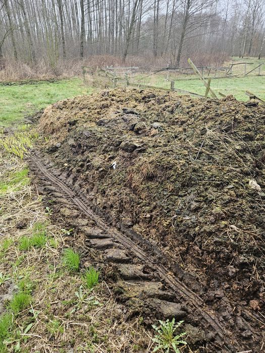 Czysty obornik koński