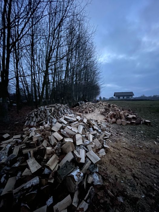 Drewno opałowe brzozowe