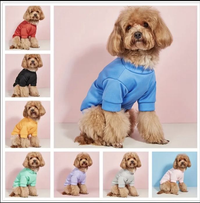 Світшот, худі, одяг для собаки