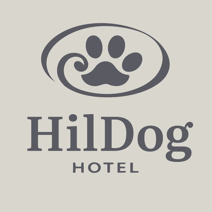 Перетримка | Готель та садок для собак HilDog | Київ