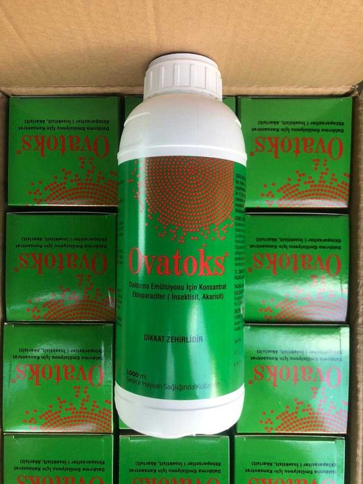 Tratamento Varroa abelhas