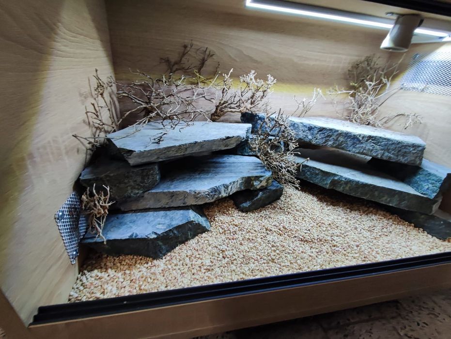 Terrarium 60x40x40 gekon lamparci jaszczurka PETMARKET