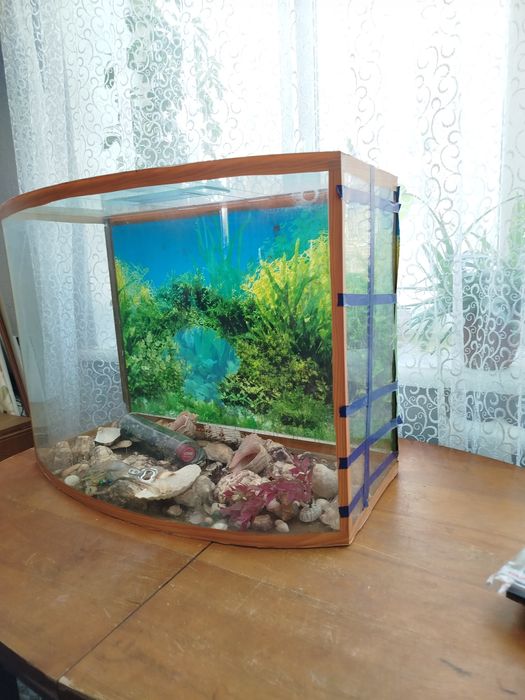 Акваріум, тераріум