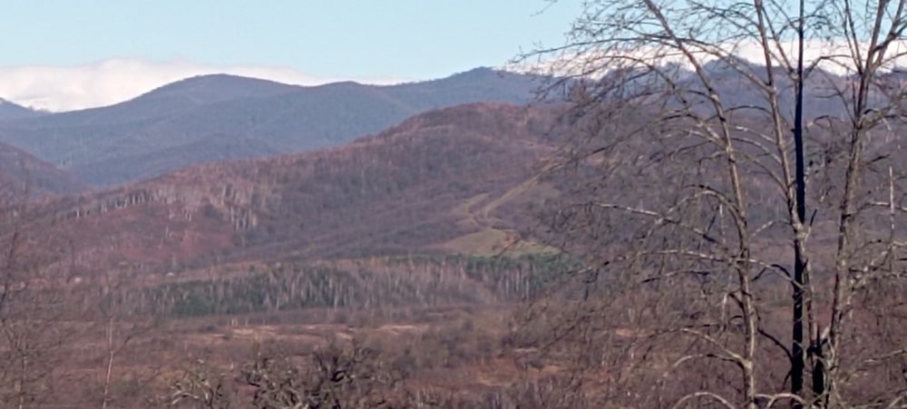 Ціну знижено! Продаю будинок у селі Черник біля Сваляви
