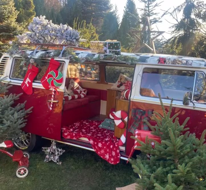 Do wynajęcia Vw T2 Ogórek, Bulik ,Auto do Ślubu i na sesje