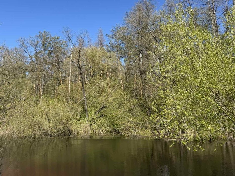 Земельна ділянка Терешки з власним виходом до озера та з панорамою на ліс.