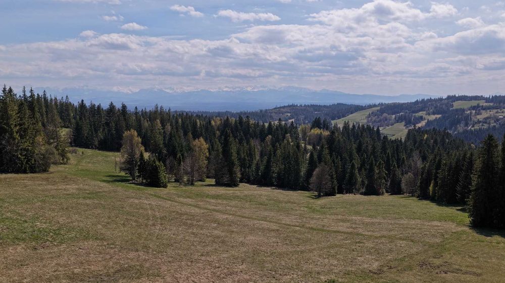 Zdjęcie 5