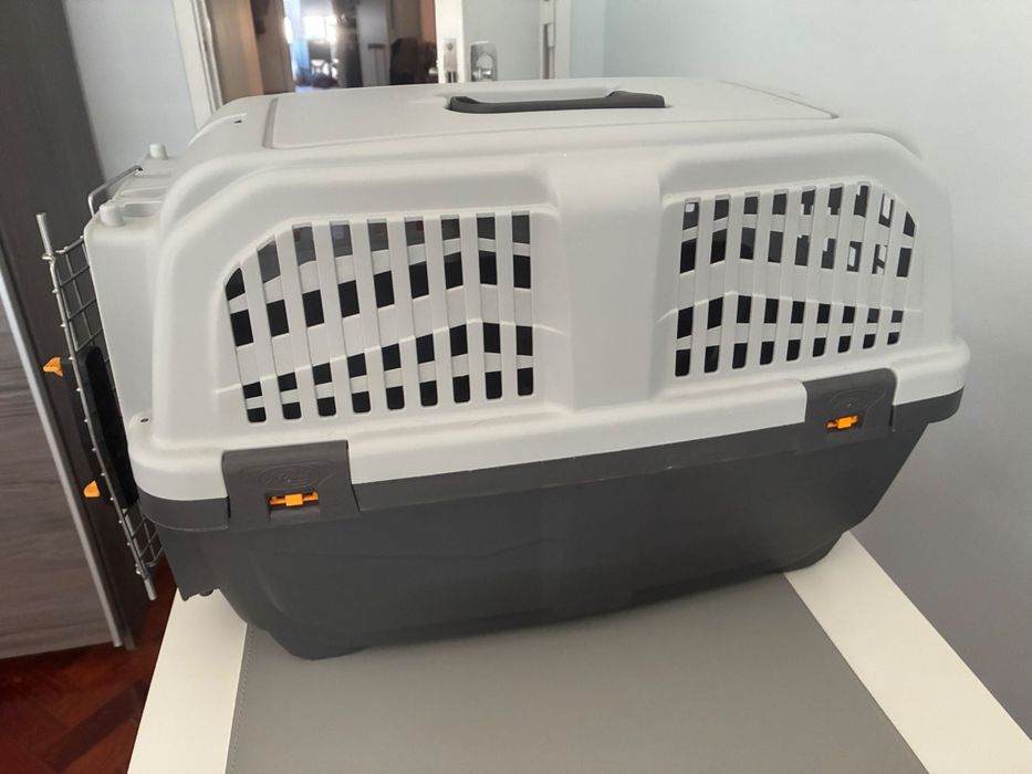 Transportadora rígida para cães e gatos