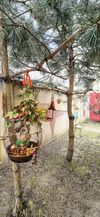 Продаж будинку с. Піщанка