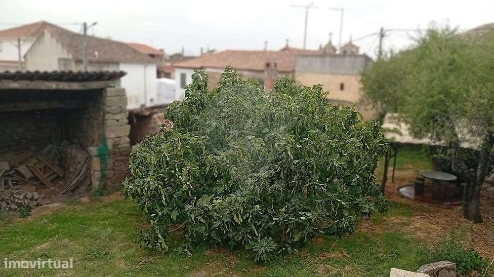 Moradia T5 para venda