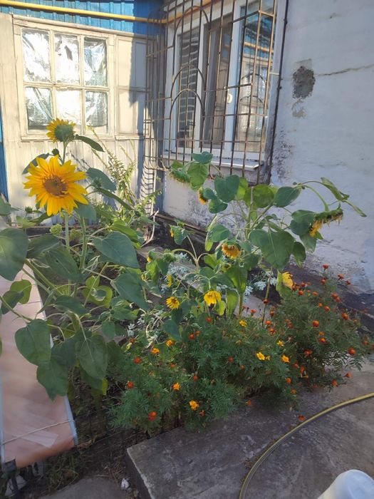 В продаже Дом 77кв.м Северный