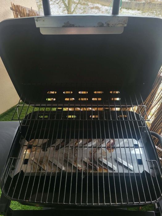 Grill gazowy Castorama