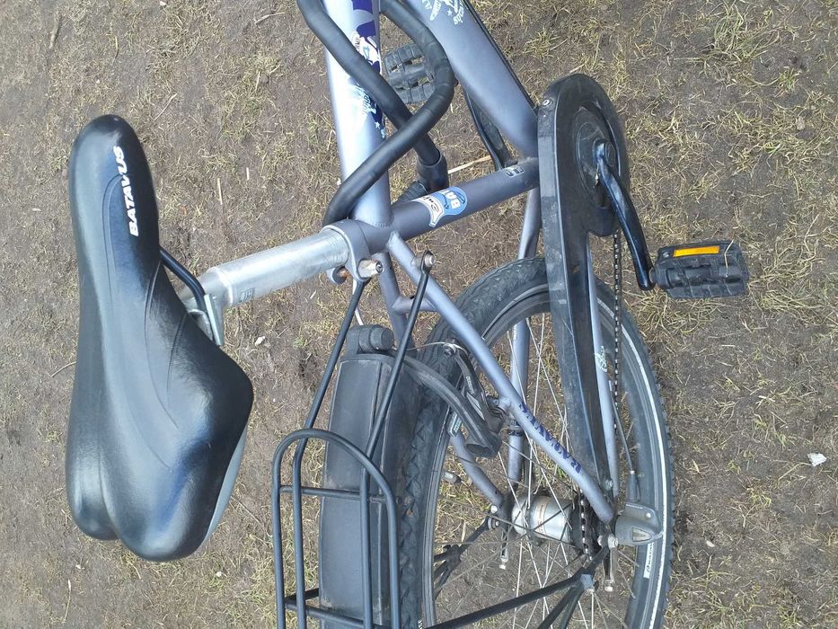 Rower Betavus Snake