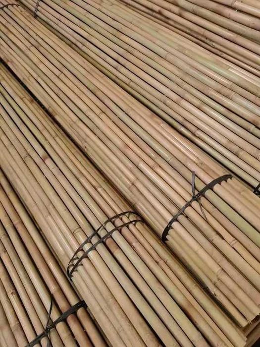 24/26 295 cm Tyczki bambusowe Bambus Najwyższa Jakość Różne Rozmiary