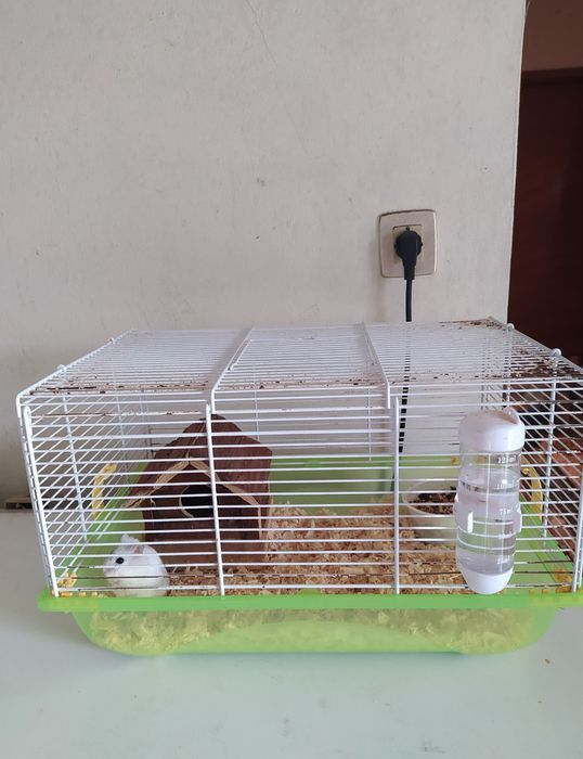 Casotas de hamsters