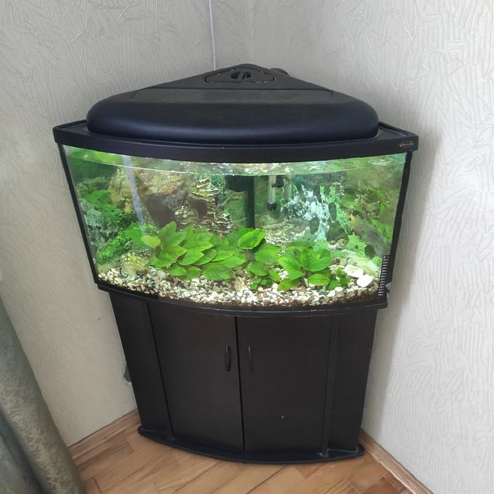 Кутовий акваріум 75л.