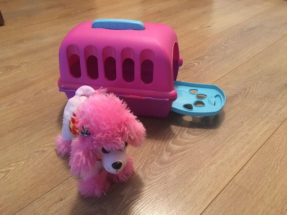 Transporter dla psa/ kota zabawka