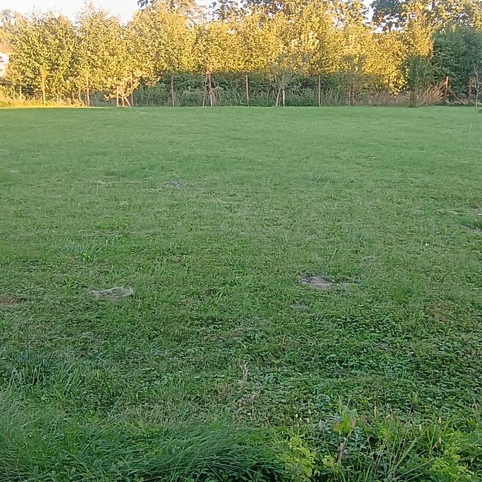 Działka budowlana 935 m², Chybie - Widok 3